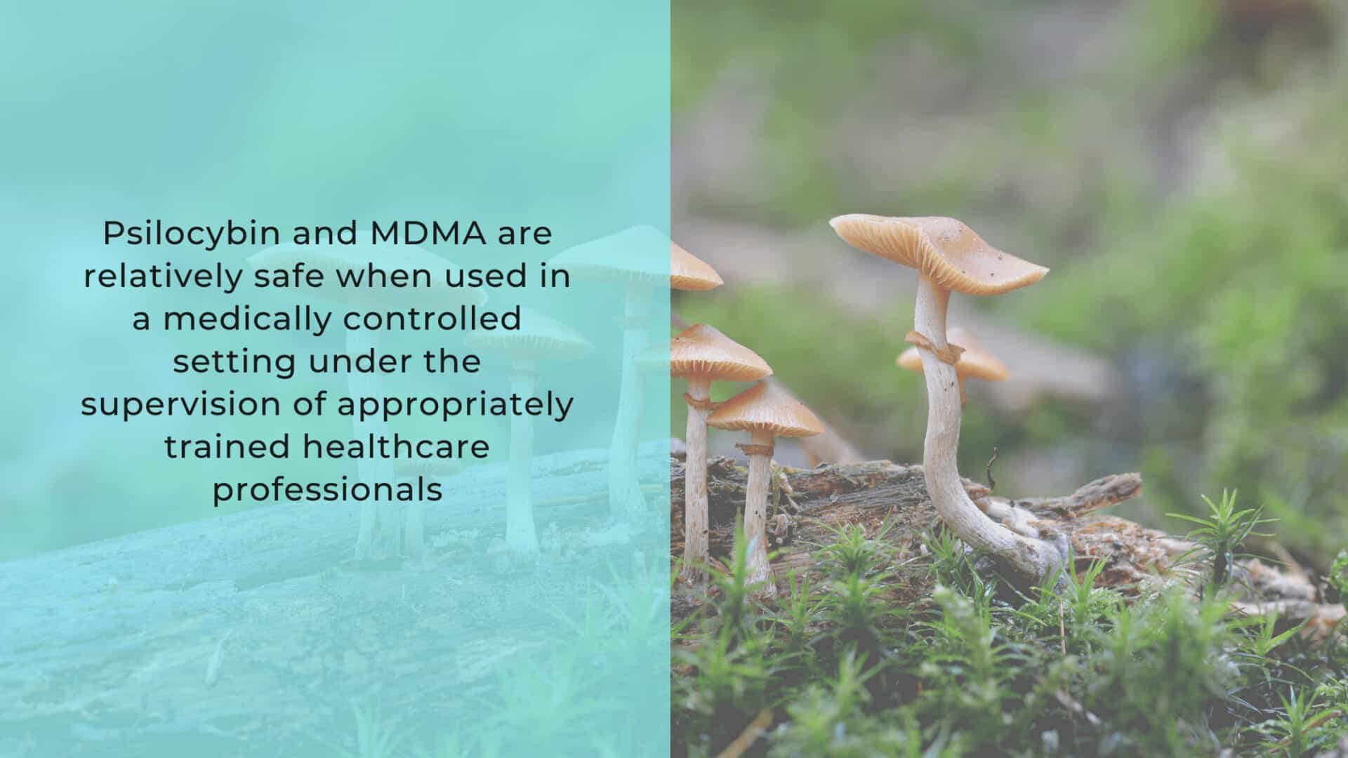Australia legalizes psychedelics to treat mental health issues