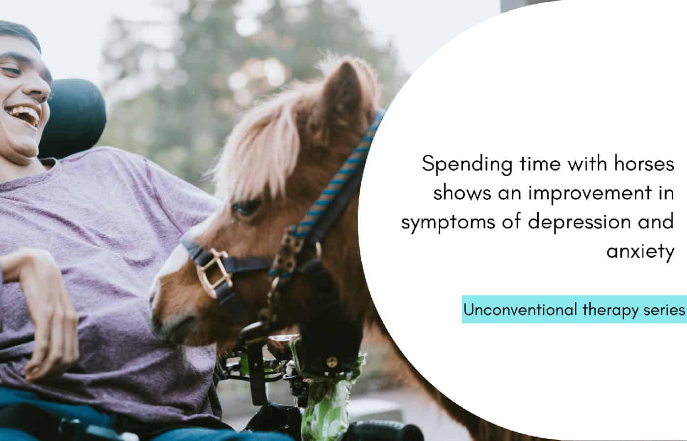 Equine-assisted therapy: How horses can help you heal