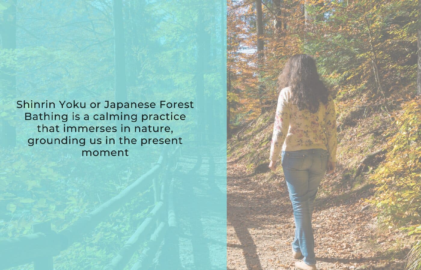 Join a healing "Nature Picnic" in South Mumbai