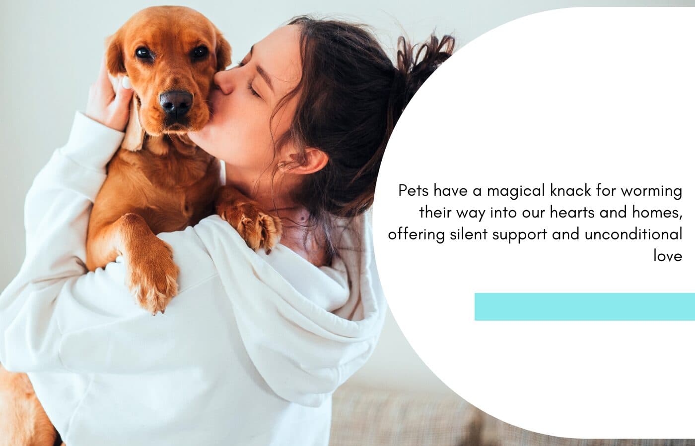 Paw-sitive vibes only: Therapy animals to the rescue