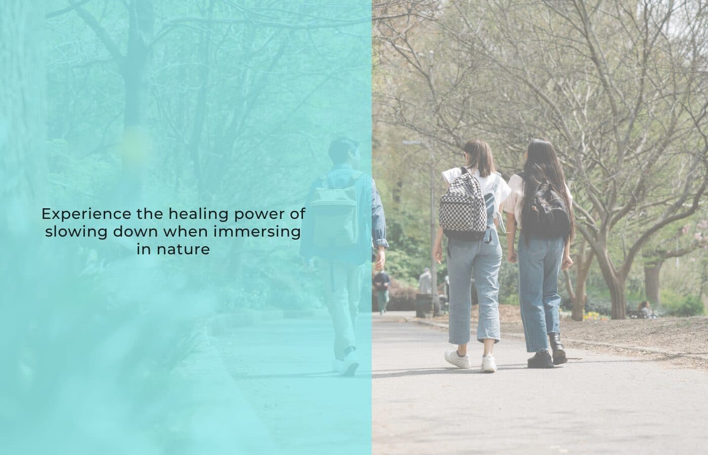 Step into spring with a mindful nature walk