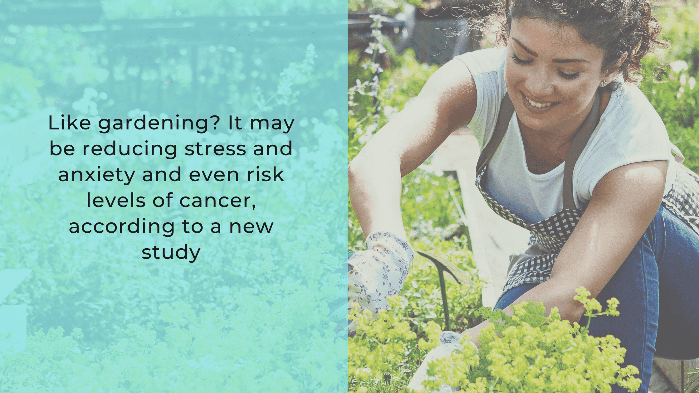 Worried about cancer risk? Do some gardening, says study